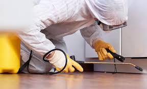 Best Real Estate Pest Inspections  in Cudahy, CA